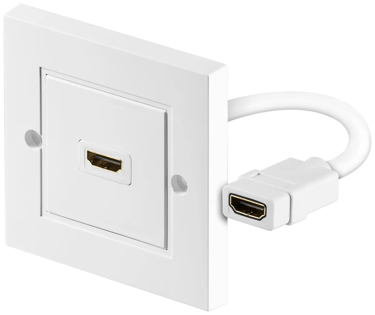 HDMI-Wanddose
