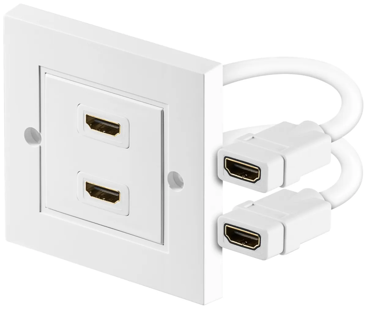 HDMI-Wanddose