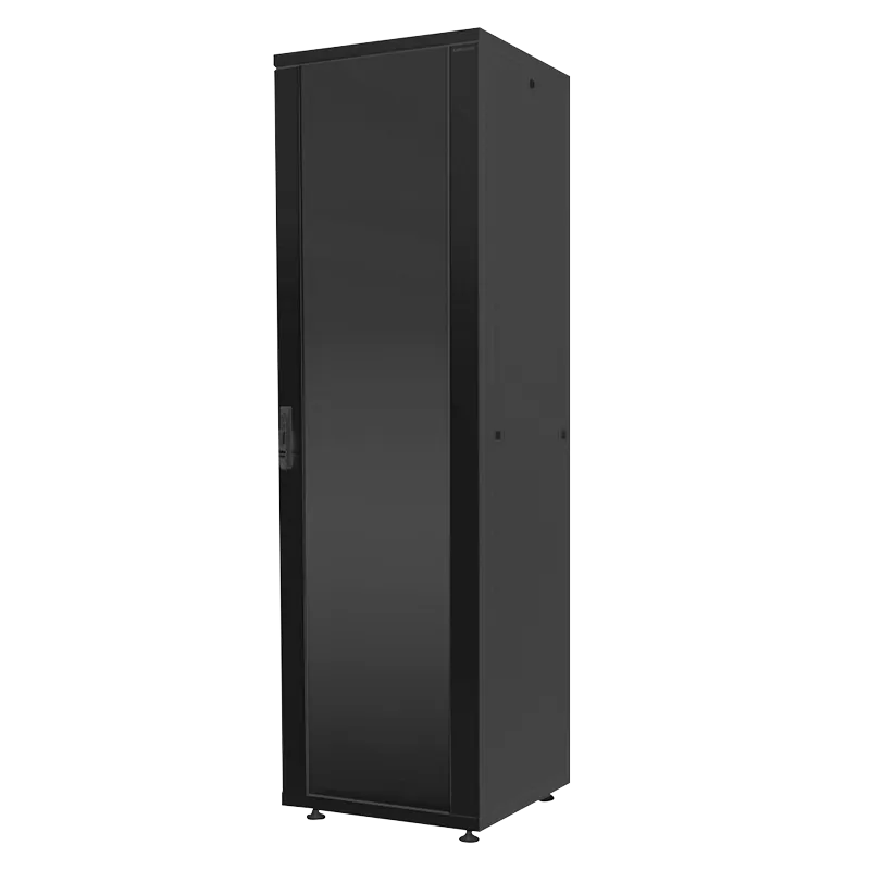 19"-Netzwerk-Eco-Standschrank 22 HE, 600 x 800 mm, Schwarz